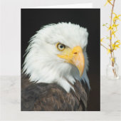 Big Greeting Card - Nature Bird Eagle Kaart (Gele Bloem)