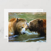 Big Grizzly Beer Kiss Briefkaart (Voorkant / Achterkant)