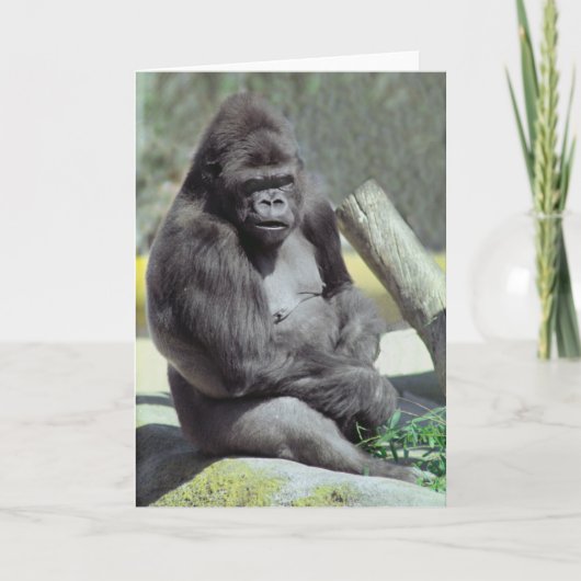 Big Gunns Gorilla Note Kaart (Voorkant)