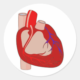 Big Hearted Ronde Sticker