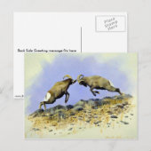 Big Horn Briefkaart (Voorkant / Achterkant)