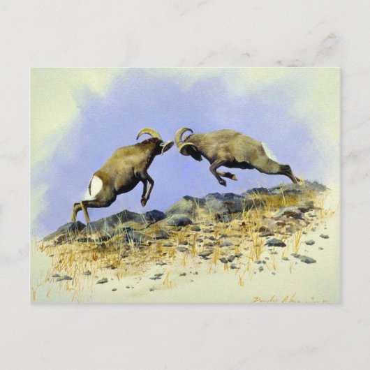 Big Horn Briefkaart (Voorkant)