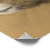 Big Horn Chalk Drawing Poster (Hoek)