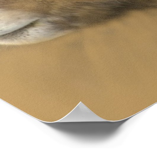 Big Horn Chalk Drawing Poster (Hoek)