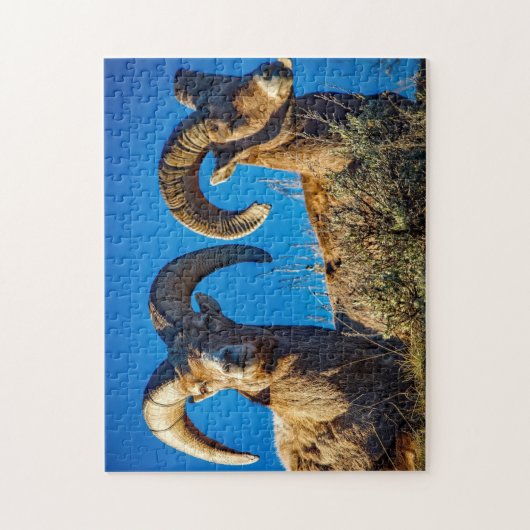 Big Horn Game Puzzle Legpuzzel (Verticaal)