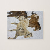 Big Horn Mountains, paarden die in de sneeuw lopen Legpuzzel (Horizontaal)