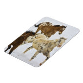 Big Horn Mountains, paarden die in de sneeuw lopen Magneet (Linkerzijde)