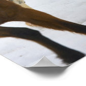 Big Horn Mountains, paarden die in de sneeuw lopen Poster (Hoek)