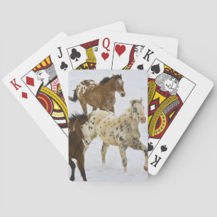 Big Horn Mountains, Paarden rennen in de sneeuw Pokerkaarten