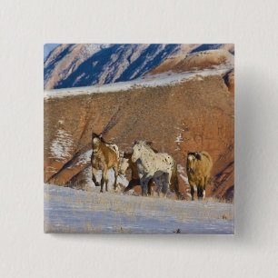 Big Horn Mountains, Paarden rennen Vierkante Button 5,1 Cm