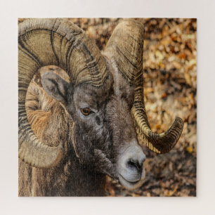 Big Horn Ram Legpuzzel