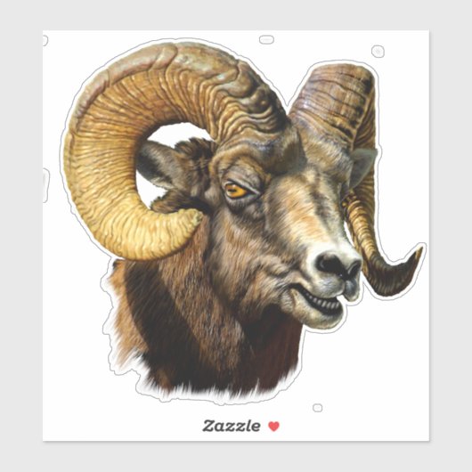 Big Horn Ram Mountain Sheep Sticker (Vel)