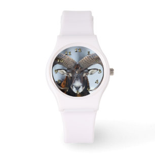 Big Horn Ram Sheep - Mouflon Horloge