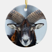 Big Horn Ram Sheep - Mouflon Keramisch Ornament (Voorkant)
