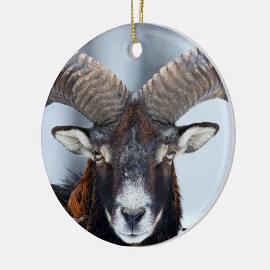 Big Horn Ram Sheep - Mouflon Keramisch Ornament (Links)