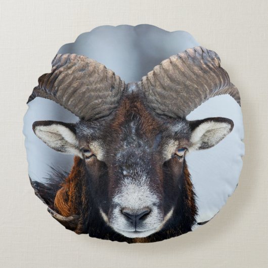 Big Horn Ram Sheep - Mouflon Rond Kussen (Voorkant)