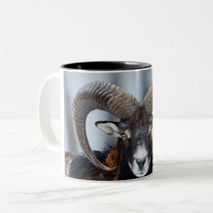Big Horn Ram Sheep - Mouflon Tweekleurige Koffiemok