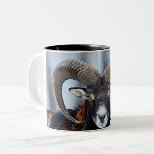 Big Horn Ram Sheep - Mouflon Tweekleurige Koffiemok (Voorkant links)