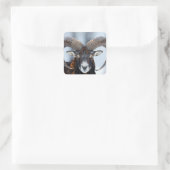 Big Horn Ram Sheep - Mouflon Vierkante Sticker (Tas)