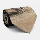 Big Horn Ram Stropdas (Opgerold)