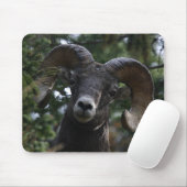 Big Horn Sheep1 Muismat (Met muis)