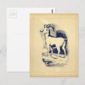 BIG HORN SHEEP BRIEFKAART (Voorkant / Achterkant)