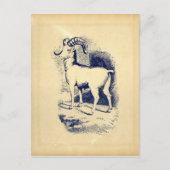  BIG HORN SHEEP BRIEFKAART (Voorkant)