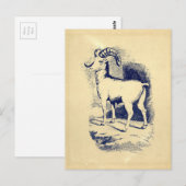  BIG HORN SHEEP BRIEFKAART (Voorkant / Achterkant)