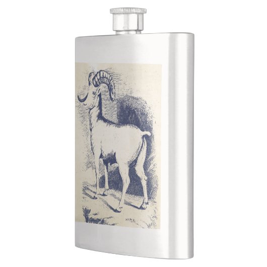 BIG HORN SHEEP HEUPFLES (Links)