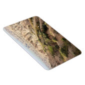 Big Horn Sheep in Badlands National Park, SD Magneet (Rechterzijde)