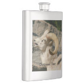 Big Horn Sheep Laughing Heupfles (Rechts)