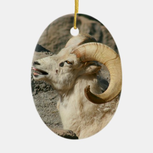 Big Horn Sheep Laughing Keramisch Ornament (Voorkant)