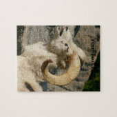 Big Horn Sheep Laughing Legpuzzel (Horizontaal)