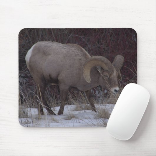 Big Horn Sheep Muismat (Met muis)