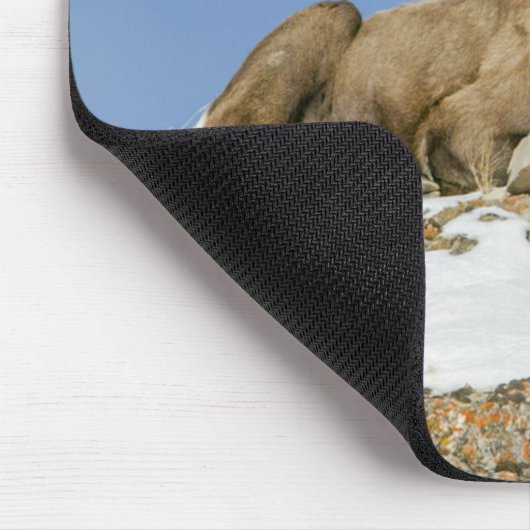 Big Horn Sheep Muismat (Hoek)