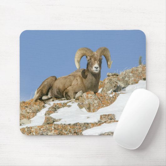 Big Horn Sheep Muismat (Met muis)