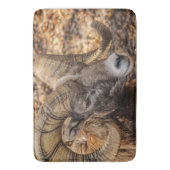 Big Horn Sheep Ram Mancave of Entryway Rug of Mat (Voorkant Verticaal)
