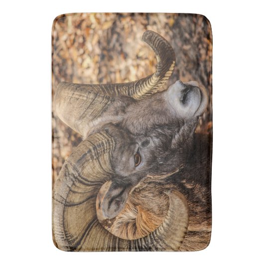 Big Horn Sheep Ram Mancave of Entryway Rug of Mat (Voorkant Verticaal)