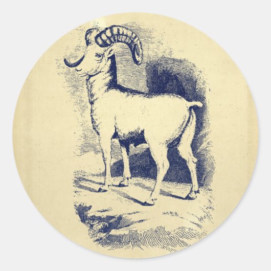 BIG HORN SHEEP RONDE STICKER (Voorkant)