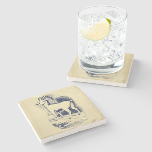 BIG HORN SHEEP STENEN ONDERZETTER (Zijkant)