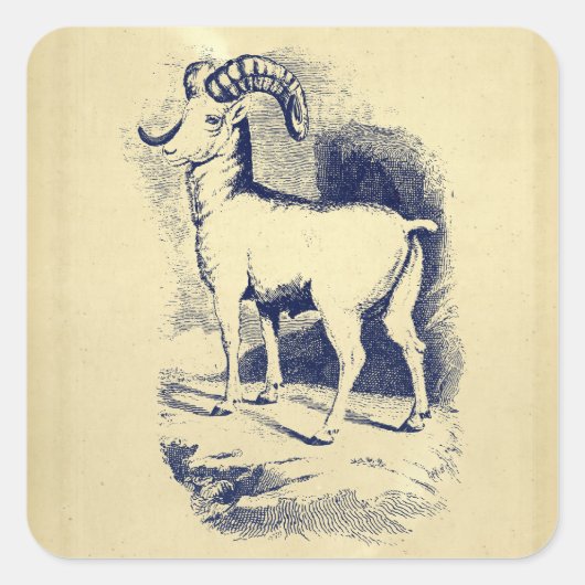  BIG HORN SHEEP VIERKANTE STICKER (Voorkant)