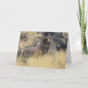 Big Horn Sheep, Wyoming Feestdagen Kaart