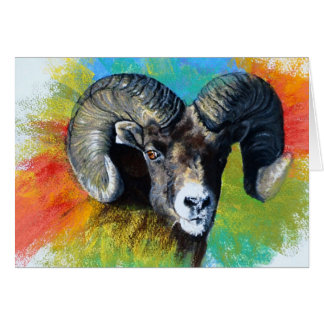 Big Horned Sheep