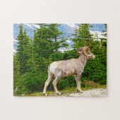 Big Horned Sheep Montana. Legpuzzel (Horizontaal)