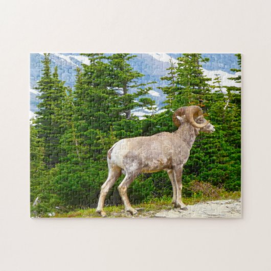 Big Horned Sheep Montana. Legpuzzel (Horizontaal)