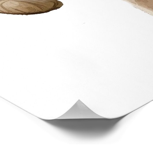 Big Horned Sheep Portrait Black white Poster (Hoek)