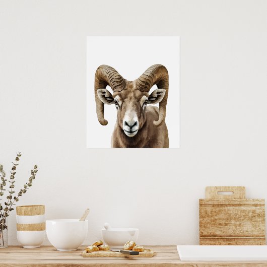 Big Horned Sheep Portrait Black white Poster (Keuken)