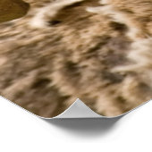 Big Horned Sheep Poster (Hoek)