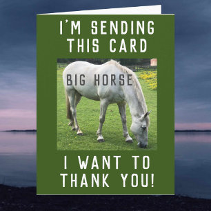 Big Horse, ik wil je creditcard bedanken Kaart