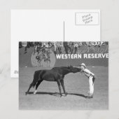 Big Horse Kiss, 1940 Briefkaart (Voorkant / Achterkant)